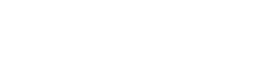 Denza Grand Brasil
